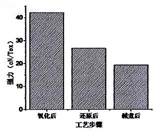 image001.jpg