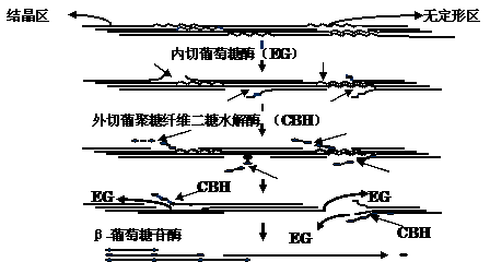 image004.gif