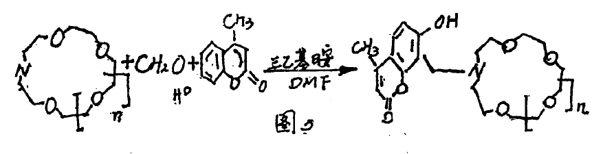 image018.gif